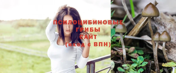 круглые Елабуга