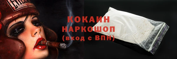 мдма Ельня