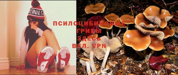 кокс Елизово