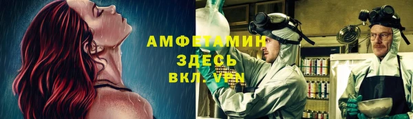 кокс Елизово